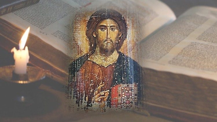 Reflexão para o XXVII Domingo do Tempo Comum