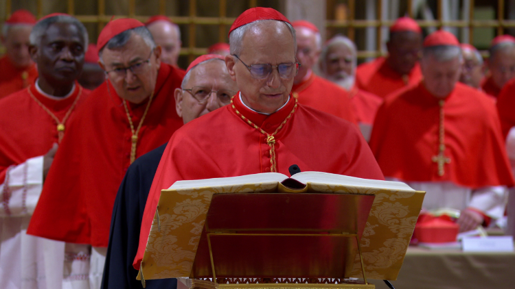 A vida e história de Papa Leão XIV: Robertum Franciscum Prevost
